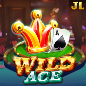 Wild Ace related hot icon